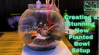 Creating a Stunning Planted Bowl Aquarium | Aqua² Lab