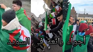 الجماهير الجزائرية تصنع الحدث في مالمو بالسويد لمساندة المنتخب الوطني 🇩🇿