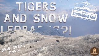 TIGERS AND SNOW LEOPARDS?!|Talking about Sundarpatan and all-new species! | #thehuntercallofthewild