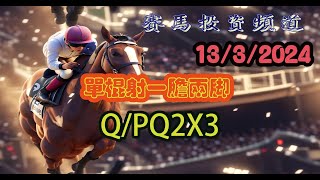 賽馬投資-13/3/2024 香港賽馬第2/4場貼士心水 WIN PLACE 3X4 HK Horse Racing Tips R2 R4