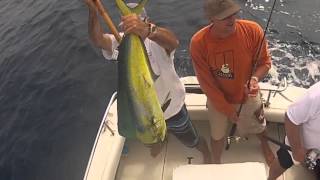 Make a Wish Tuna Challenge 2012 on Reel Hard