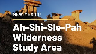 AH-SHI-SLE-PAH WILDERNESS STUDY AREA, NEW MEXICO