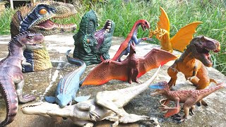 Menemukan kepala T_rex, Velociraptor, mainan mossasaurus, indominus Rex, rodan, king ghidorah,  guys