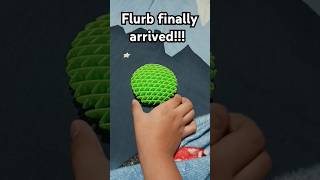 flurb finally arrived!!! #shorts #flurb #fidgettoys #fyp