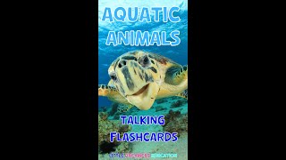 Aquatic Animals For Kids | Talking Flashcards