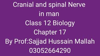 Cranial and spinal Nerve in man class 12 Biology Chapter 17 in sindhi