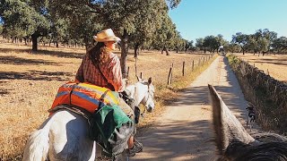 Dejamos a las yeguas por el camino… - VIAJE A CABALLO por España