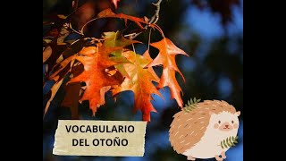 VOCABULARIO DEL OTOÑO