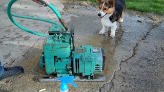 Old Is Gold! Buying Cheapest Local Generator And Seeing If It Runs