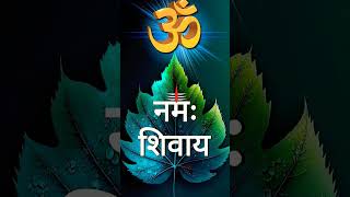 Om Namah Shivay Mahadev status