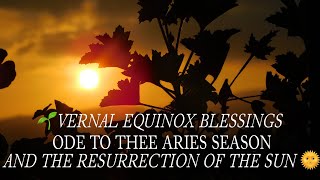 ♈️❤️‍🔥 ARIES SEASON MEDICINE, THE WHEEL OF THE YEAR TURNS, EQUINOX AWAKENINGS, REMEMBER YOUR SOUL