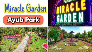 Miracle Garden|Ayub Park|Park Attractions