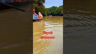 -সিলেট ভ্রমণ, রাতারগুল। #travel #with #mimi #সিলেট #রাতারগুল #ভ্রমণ #সিলেট #রাতারগুল #ভ্রমণ