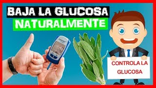 ☕️ESTAS 3 INFUSIONES FUNCIONAN🔴COMO BAJAR LA GLUCOSA RAPIDO Y NATURAL