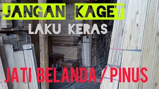 kayu pinus Jati Belanda untuk mempercantik tampilan