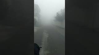 Today Lahore #morning #fog #smog #cold #weather #pakistan #viral #shortvideo