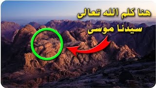 لا لتهجير أهل غزة.. ومكانة سيناء في القرآن.