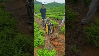 Tea garden tiller, deep tillage and high efficiency, one machine can replace eight workers,