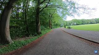 A Soothing Amsterdamse Bos Bicycle Tour 4K Video/ 阿姆斯特丹森林自行车游览