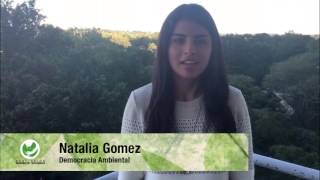 Sí Ambiental por el fortalecimiento de la democracia ambiental-Paz Ambiental