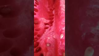 Summer watermelon juice#shortsvideo#trendingshorts#youtubeshorts#summerjuicerecipe