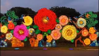 Interactive Peony Wall Chinese Lanterns