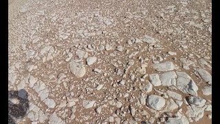 Stopping somewhere in the Sahara Desert in Mauritania to inspect an area covered with white rocks.