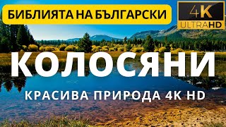 ПОСЛАНИЕ НА АПОСТОЛ ПАВЕЛ КЪМ КОЛОСЯНИТЕ С ЛЕГЕНДА - 4К HD - COLOSSIANS