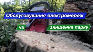 Обслуговування електромереж чи знищення парку?