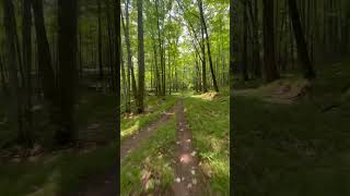 Biking through the North Woods #mtb #mountainbiking #nature #trails