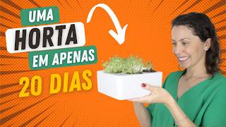 Como fazer uma horta em casa | bBox