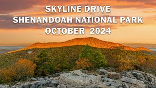 Scenic Drive Through Shenandoah National Park | Peak Fall Foliage Adventure 2024