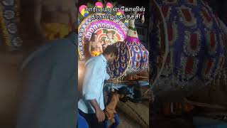 மாரியம்மன் கோவில் #திருவிழா #திருச்சி #அம்மன் #shorts #shortvideo