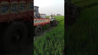 పంట కాపాడుకోవడం కోసం రైతు పడుతున్న కష్టం #farmer #agriculture #nofarmersnofoodnofuture #kisanpower