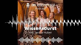 Lagerung, Gläser, Temperatur: Tipps und Tricks für den Umgang mit Wein