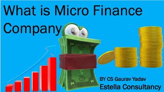 What is Micro Finance Company in India | Estella Consultancy | Hindi/English