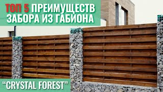 ТОП-5 преимуществ забора из габиона 🏘 Почему выбрали этот забор? Строительство "Crystal Forest"