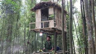 Build a bamboo house on the mountain top for survival, Complete Cabin build