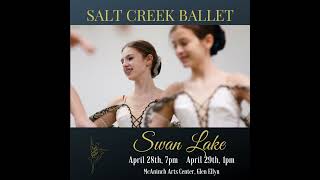 Swan Lake Post 1 3723 1