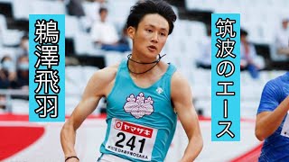 鵜澤飛羽　レース集