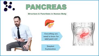 PANCREAS | Simplest explanation for NEET BIOLOGY