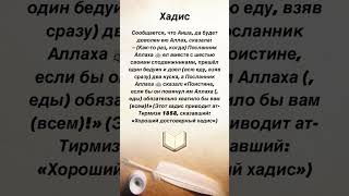 Поистине, если бы он помянул им Аллаха (, еды) обязательно хватило бы вам (всем) #хадис