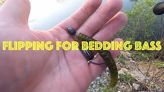 How to catch bedding bass plus giveaway details