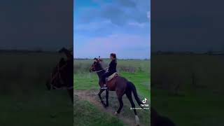 #horse #animal #compilation #rek #horseriding #love #horselover #equestrian