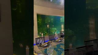 I CELEBRATED MY BDAY in an Underwater Aquarium Restaurant! #shorts #viral