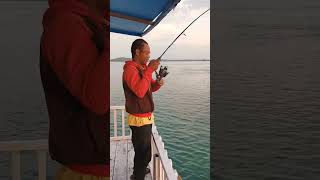 strike ikan kaci #fishing #mancingikan #mancing #shorts