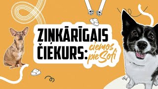 Ziņkārīgais Čiekurs ciemos pie Sofi S1E4