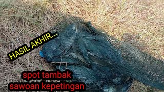 Mencoba spot lama..tambak sawoan kepetingan #part3 hasil akhir yang memuaskan