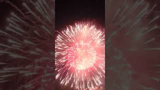 WORLD'S BIGGEST FIREWORK (1 shell) 🎆 #shorts #fireworks #biggest #viral