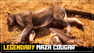 LEGENDARY Maza Cougar Location! - Red Dead Online Naturalist Update